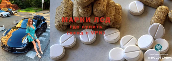 эйфоретик Аркадак