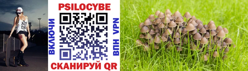 KRAKEN как зайти  Нягань  Галлюциногенные грибы Cubensis 